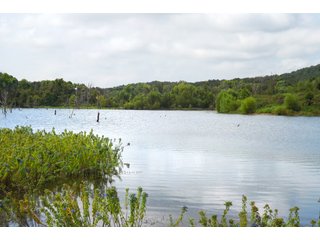 Property photo 60 - REAL ESTATE AUCTION - 1,000+/- ACRES OFFERED IN 10 TRACTS IN PITTSBURG CO., OKLAHOMA